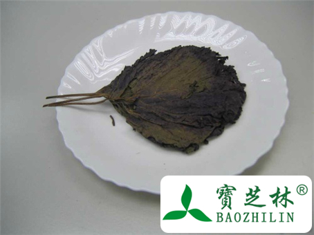 紫苏叶泡水