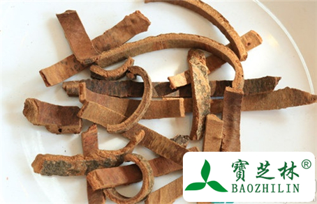 皮肤过敏能肉桂吗