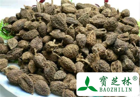 糖尿病人能吃砂仁吗
