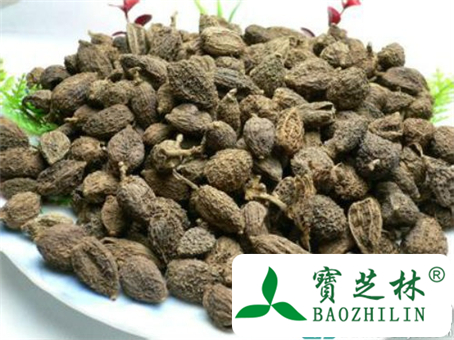 高血压能吃砂仁吗