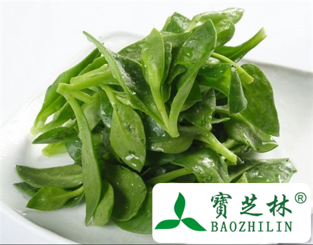 穿心莲功效