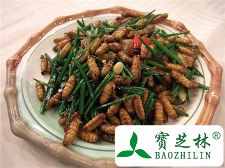蚕蛹怎么吃