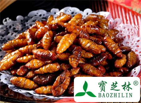 蚕蛹怎么做