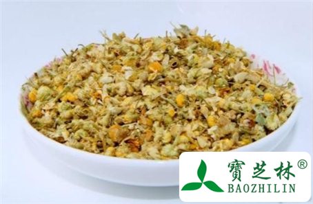 便秘能吃野菊花吗