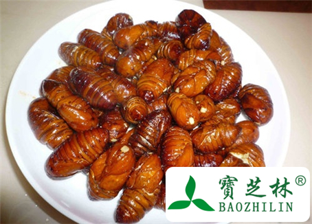 蚕蛹的功效与作用