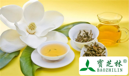 槐花茶的功效与作用