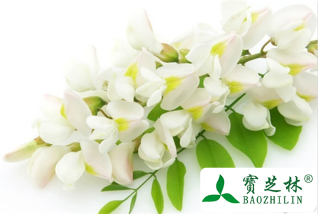 洋槐花蜂蜜