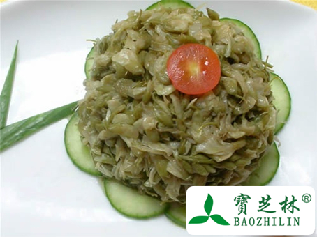 生槐花的功效与作用