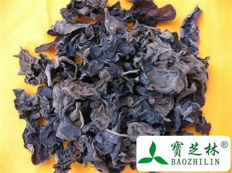 石耳的用量
