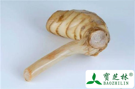 高良姜的药用价值