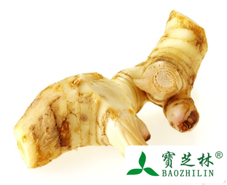 高良姜的功效与作用有哪些