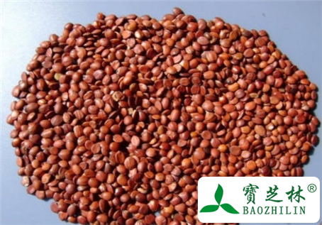 酸枣仁怎么吃