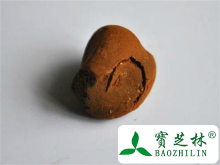 便秘能吃牛黄吗