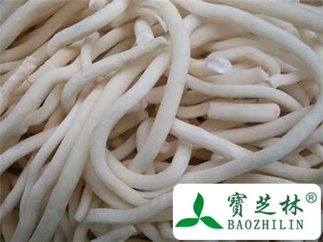 通草怎么吃发奶