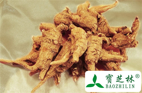 花旗参是西洋参吗