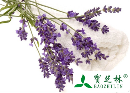 新疆薰衣草精油