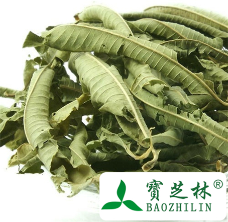 柠檬马鞭草的功效与作用