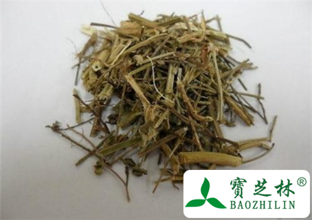 便秘能吃马鞭草吗