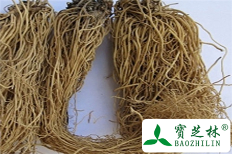 麻黄附子细辛汤