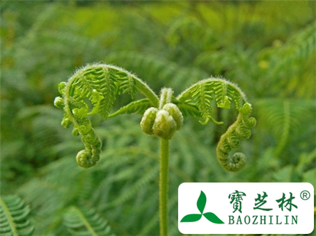 甘草附子汤