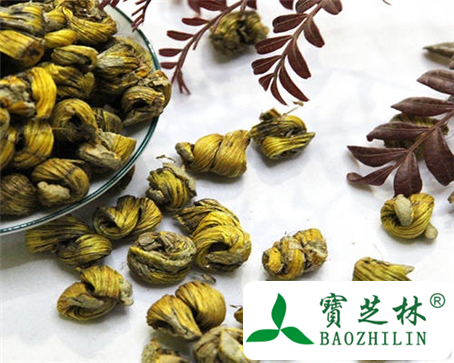 中药铁皮石斛