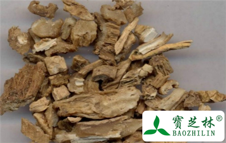 中药百部的功效与作用