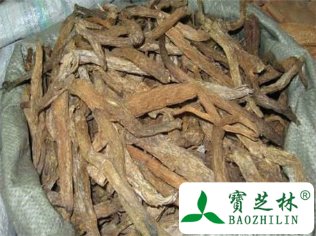 百部的副作用
