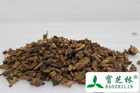 孕妇能吃百部吗