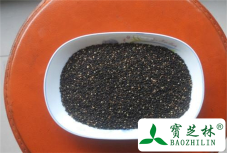 糖尿病人能吃黑枸杞吗