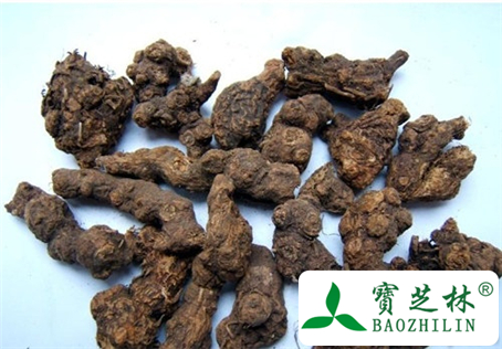 经期能吃香附吗