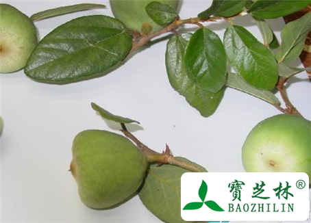 经期能吃王不留行吗