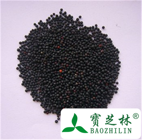 活血调经中药——王不留行