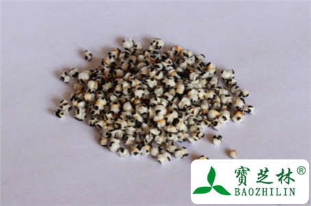 王不留行怎么吃