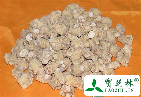 孕妇能吃王不留行吗