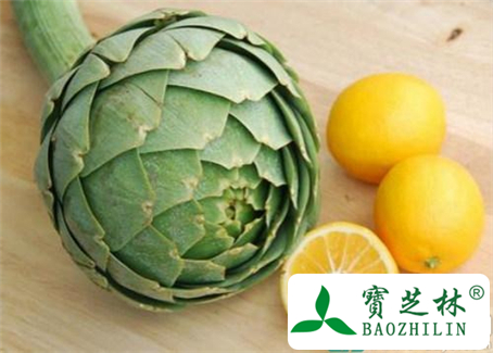 经期能吃朝鲜蓟吗