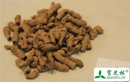 便秘能吃巴戟天吗