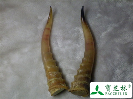 羚羊角功效