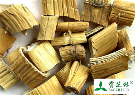 中药芦根的功效与作用