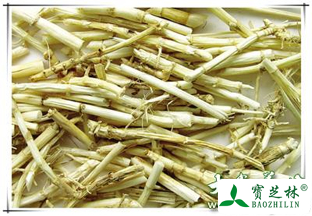 芦根的功效及作用, 食用芦根有什么疗效?