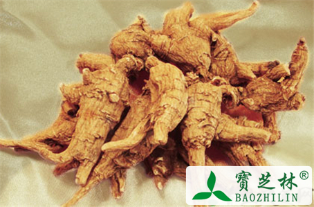 花旗参和西洋参的区别