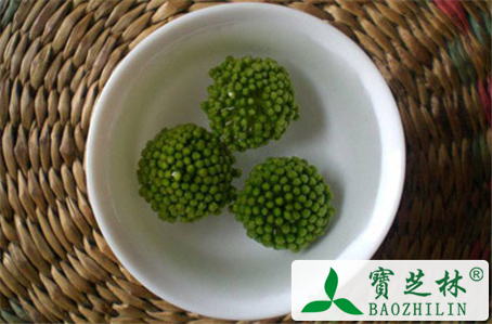 三七花怎么泡水喝