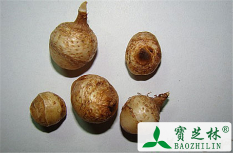 半夏的炮制方法