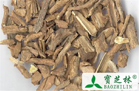 地骨皮的功效