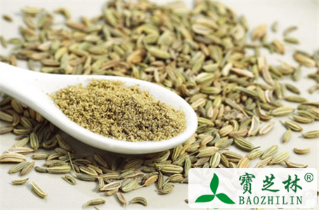 小茴香的功效