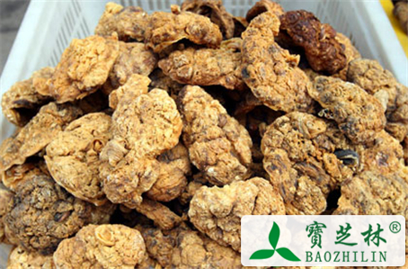 新鲜胎盘怎么吃
