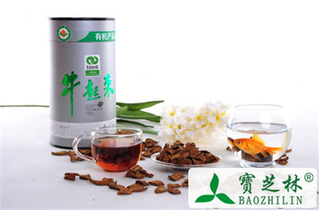 牛蒡茶的副作用