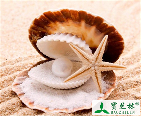 珍珠粉对我们身体的功效与作用