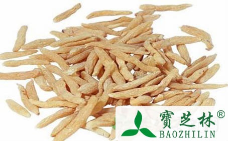 中药天冬的18个治疗偏方