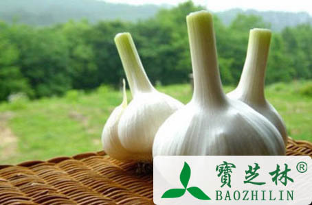 大蒜的功效作用 抗菌消炎抗肿瘤