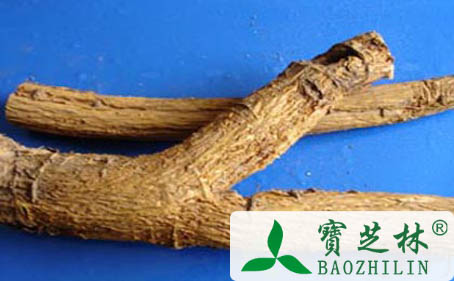 苦参的功效和作用
